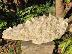 Natural Large Clear Malagasy Quartz Crystal Cluster x 1 From Madagascar - Toprock Gemstones and Minerals 