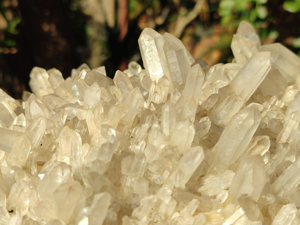 Natural Large Clear Malagasy Quartz Crystal Cluster x 1 From Madagascar - Toprock Gemstones and Minerals 