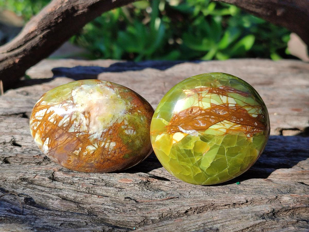 Polished Green Opal Palm Stones x 24 From Betroka, Madagascar - Toprock Gemstones and Minerals 