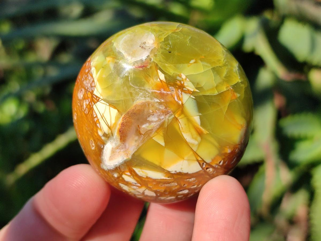 Polished Green Opal Palm Stones x 24 From Betroka, Madagascar - Toprock Gemstones and Minerals 