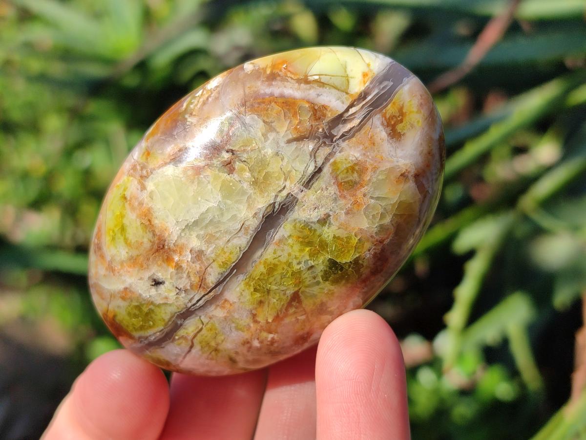 Polished Green Opal Palm Stones x 24 From Betroka, Madagascar - Toprock Gemstones and Minerals 