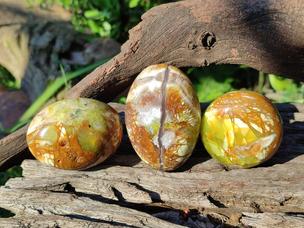Polished Green Opal Palm Stones x 24 From Betroka, Madagascar - Toprock Gemstones and Minerals 