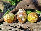 Polished Green Opal Palm Stones x 24 From Betroka, Madagascar - Toprock Gemstones and Minerals 