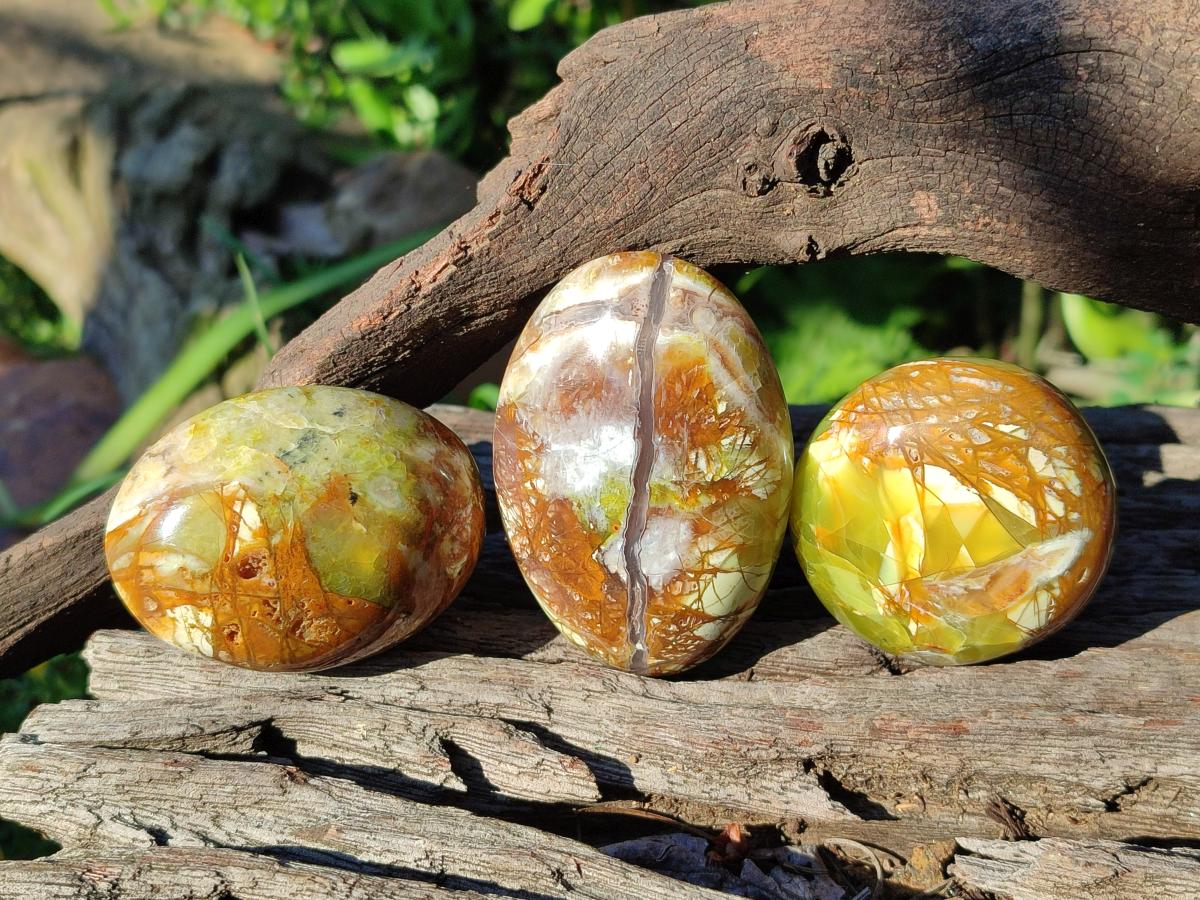 Polished Green Opal Palm Stones x 24 From Betroka, Madagascar - Toprock Gemstones and Minerals 