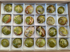 Polished Green Opal Palm Stones x 24 From Betroka, Madagascar - Toprock Gemstones and Minerals 