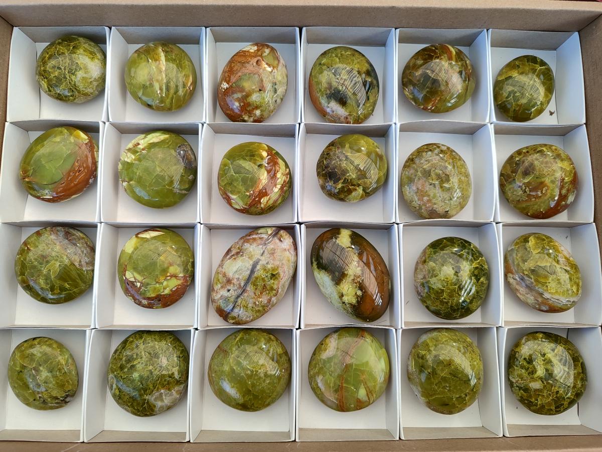 Polished Green Opal Palm Stones x 24 From Betroka, Madagascar - Toprock Gemstones and Minerals 