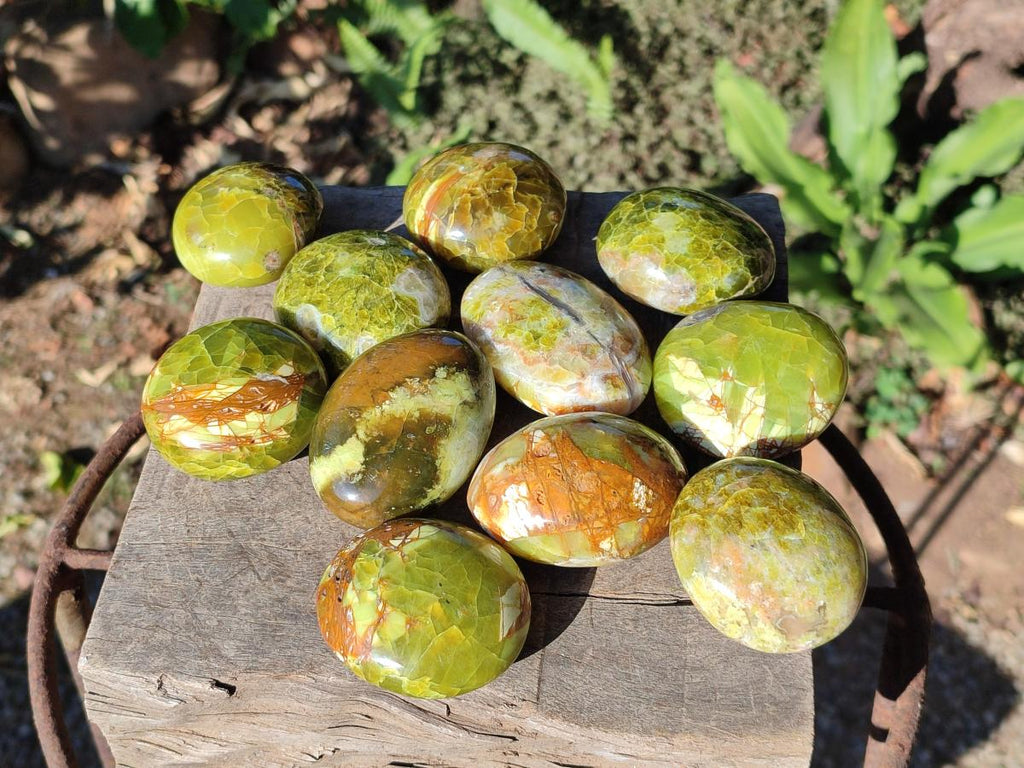 Polished Green Opal Palm Stones x 24 From Betroka, Madagascar - Toprock Gemstones and Minerals 