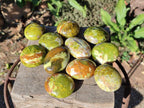 Polished Green Opal Palm Stones x 24 From Betroka, Madagascar - Toprock Gemstones and Minerals 