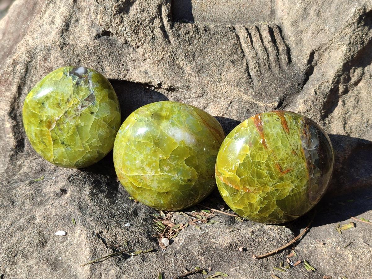 Polished Green Opal Palm Stones x 24 From Betroka, Madagascar - Toprock Gemstones and Minerals 
