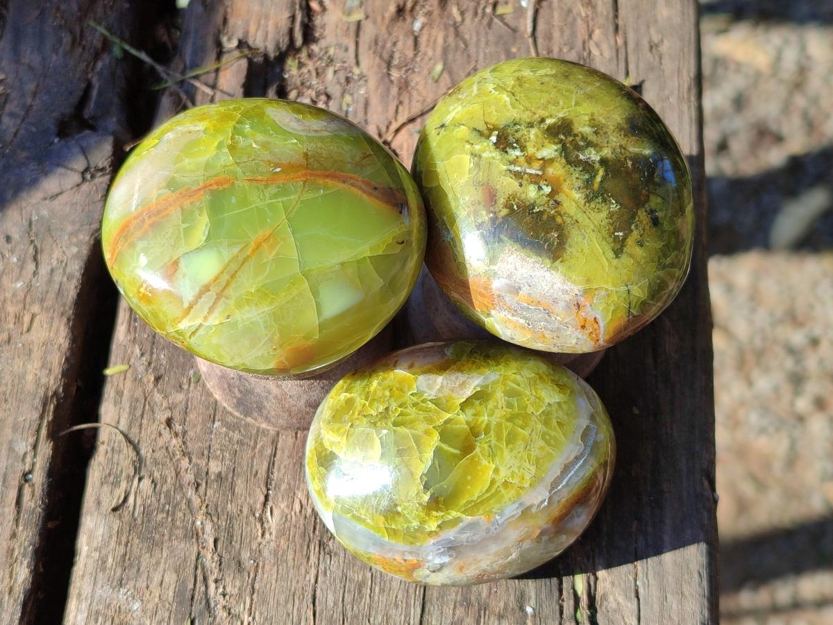 Polished Green Opal Palm Stones x 24 From Betroka, Madagascar - Toprock Gemstones and Minerals 