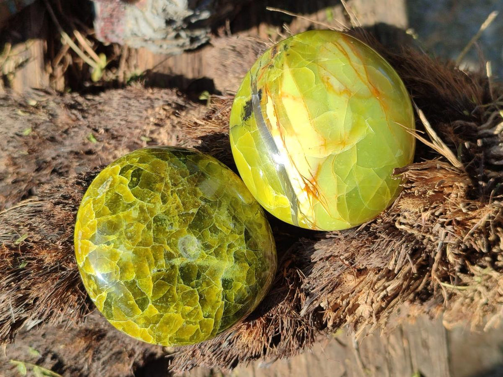 Polished Green Opal Palm Stones x 24 From Betroka, Madagascar - Toprock Gemstones and Minerals 