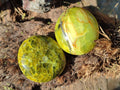 Polished Green Opal Palm Stones x 24 From Betroka, Madagascar - Toprock Gemstones and Minerals 