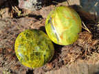 Polished Green Opal Palm Stones x 24 From Betroka, Madagascar - Toprock Gemstones and Minerals 