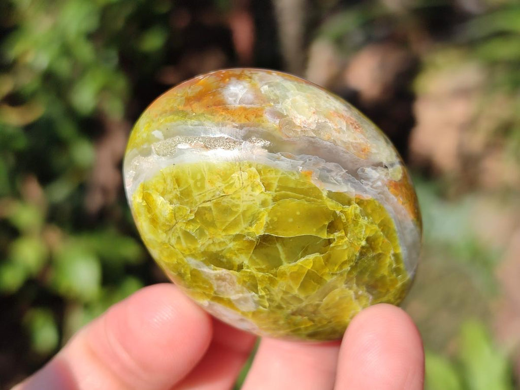 Polished Green Opal Palm Stones x 24 From Betroka, Madagascar - Toprock Gemstones and Minerals 