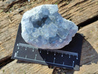 Natural Blue Celestite Specimens x 41 From Sakoany, Madagascar - Toprock Gemstones and Minerals 