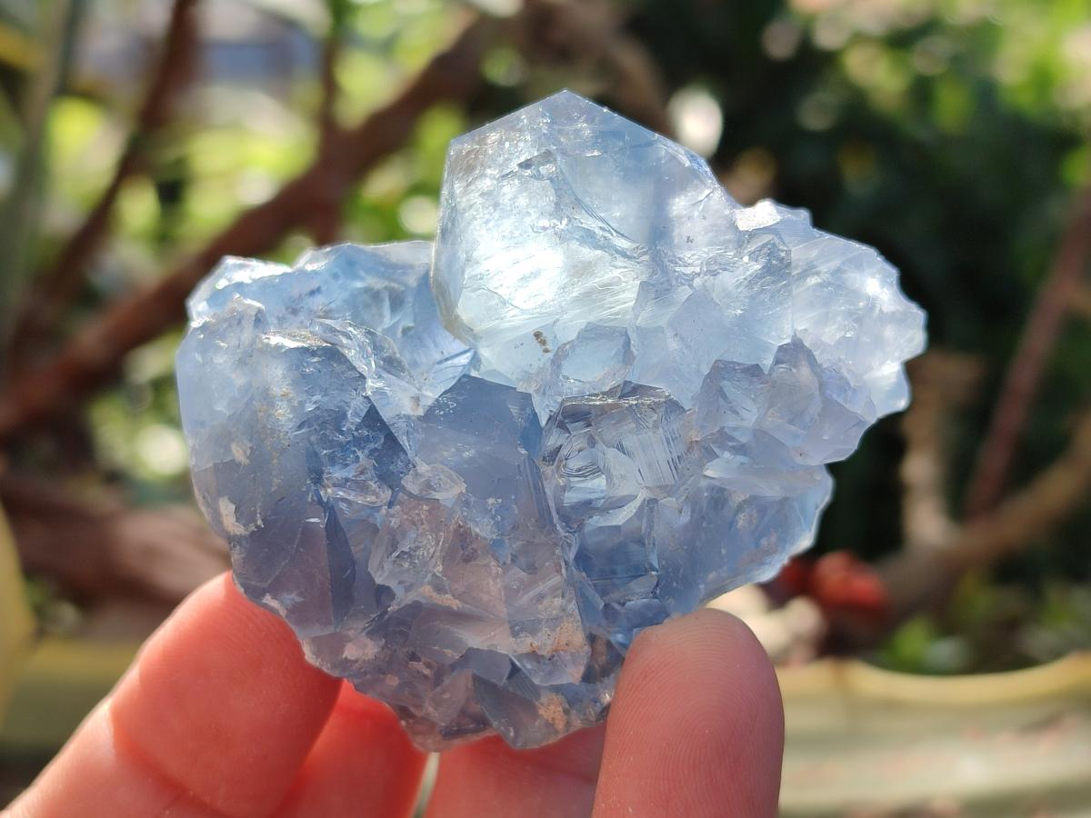 Natural Blue Celestite Specimens x 41 From Sakoany, Madagascar - Toprock Gemstones and Minerals 