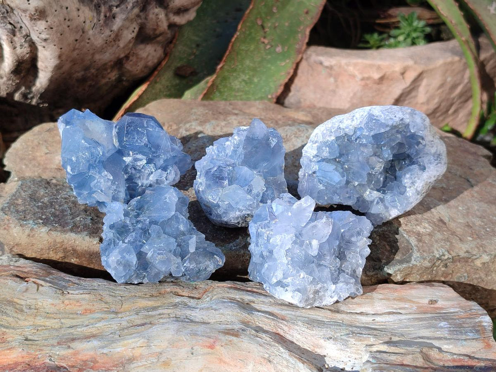 Natural Blue Celestite Specimens x 41 From Sakoany, Madagascar - Toprock Gemstones and Minerals 