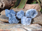 Natural Blue Celestite Specimens x 41 From Sakoany, Madagascar - Toprock Gemstones and Minerals 