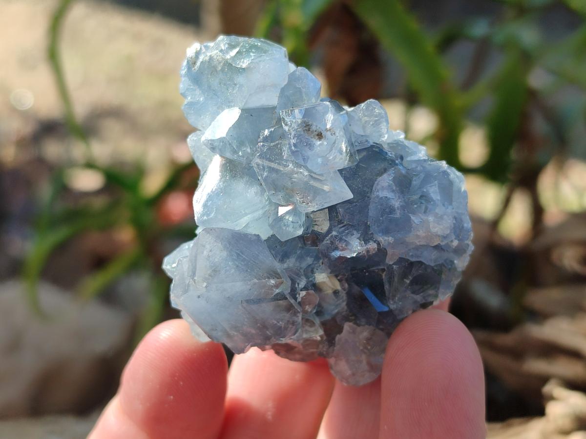 Natural Blue Celestite Specimens x 41 From Sakoany, Madagascar - Toprock Gemstones and Minerals 