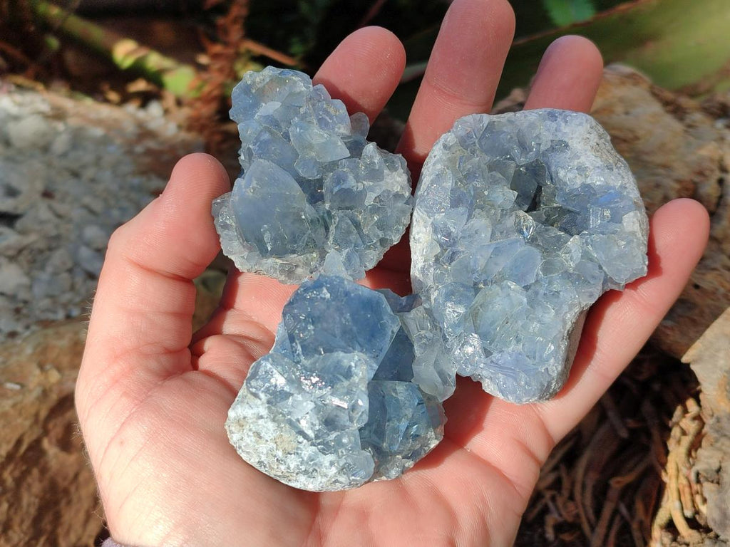 Natural Blue Celestite Specimens x 41 From Sakoany, Madagascar - Toprock Gemstones and Minerals 