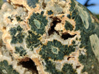 Polished Ocean Jasper Standing Display Pieces x 2 From Northwest Coast, Madagascar - Toprock Gemstones and Minerals 