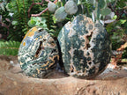 Polished Ocean Jasper Standing Display Pieces x 2 From Northwest Coast, Madagascar - Toprock Gemstones and Minerals 