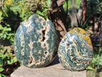 Polished Ocean Jasper Standing Display Pieces x 2 From Northwest Coast, Madagascar - Toprock Gemstones and Minerals 