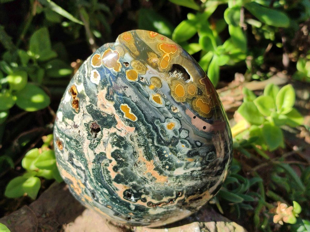 Polished Ocean Jasper Standing Display Pieces x 2 From Northwest Coast, Madagascar - Toprock Gemstones and Minerals 