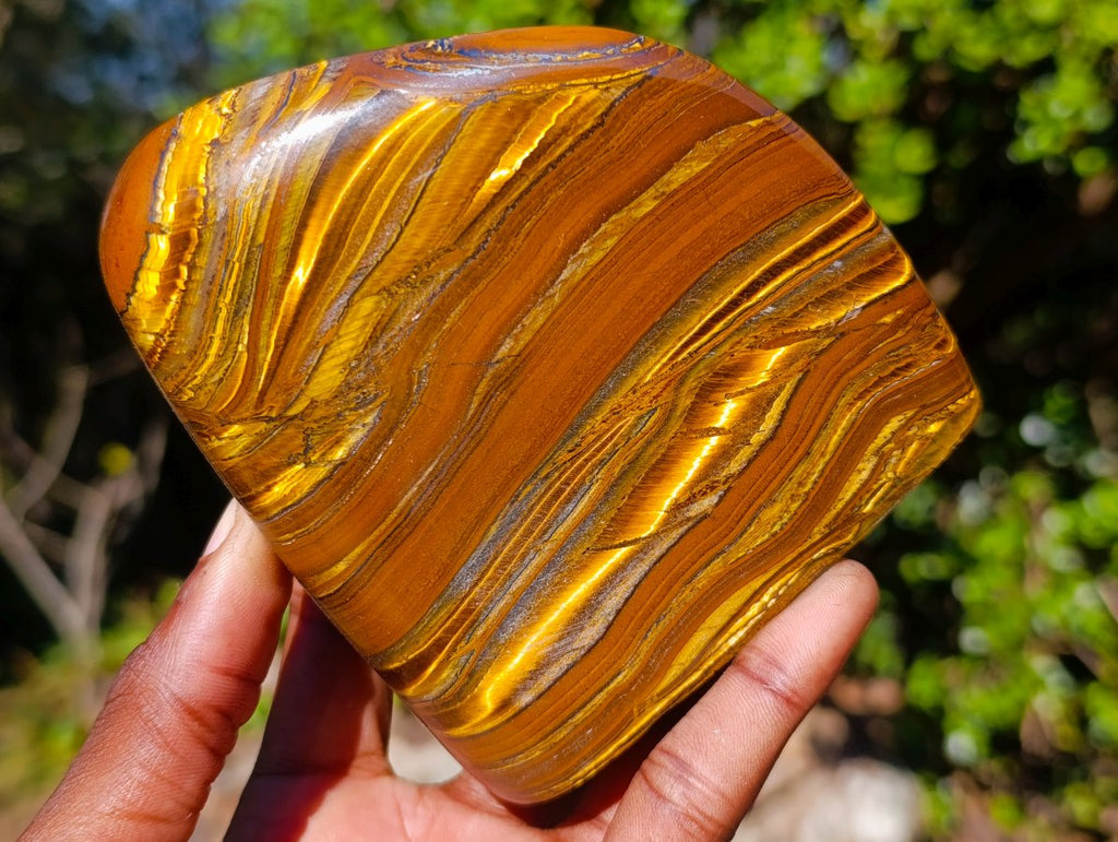 Polished Golden Tigers Eye Standing Display Pieces x 2 From Prieska, South Africa - Toprock Gemstones and Minerals 