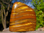 Polished Golden Tigers Eye Standing Display Pieces x 2 From Prieska, South Africa - Toprock Gemstones and Minerals 