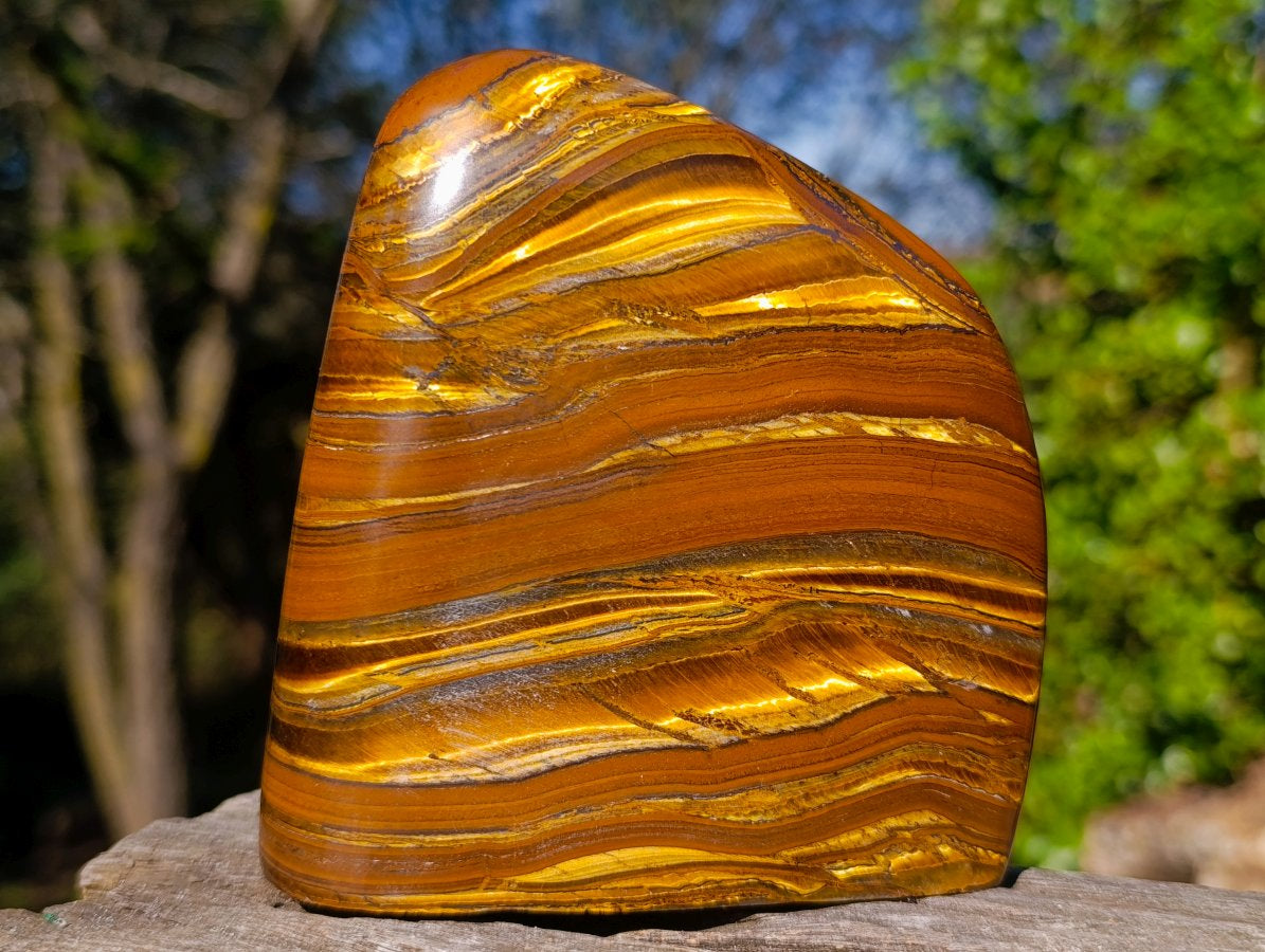 Polished Golden Tigers Eye Standing Display Pieces x 2 From Prieska, South Africa - Toprock Gemstones and Minerals 