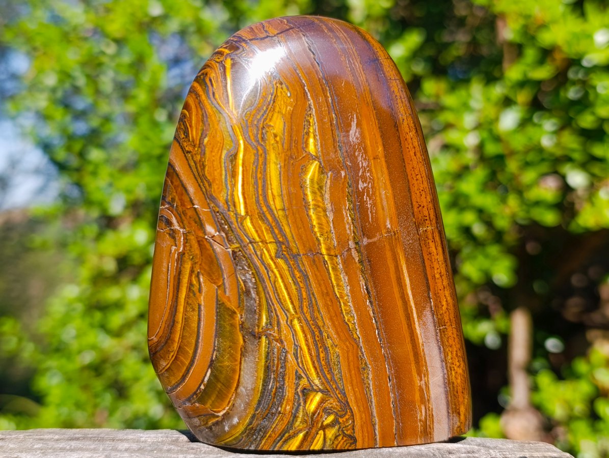 Polished Golden Tigers Eye Standing Display Pieces x 2 From Prieska, South Africa - Toprock Gemstones and Minerals 