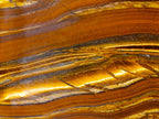 Polished Golden Tigers Eye Standing Display Pieces x 2 From Prieska, South Africa - Toprock Gemstones and Minerals 