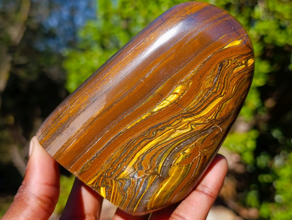 Polished Golden Tigers Eye Standing Display Pieces x 2 From Prieska, South Africa - Toprock Gemstones and Minerals 