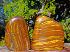 Polished Golden Tigers Eye Standing Display Pieces x 2 From Prieska, South Africa - Toprock Gemstones and Minerals 