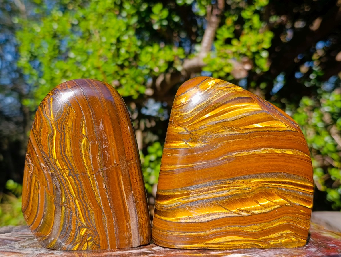 Polished Golden Tigers Eye Standing Display Pieces x 2 From Prieska, South Africa - Toprock Gemstones and Minerals 