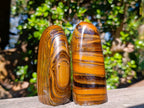 Polished Golden Tigers Eye Standing Display Pieces x 2 From Prieska, South Africa - Toprock Gemstones and Minerals 