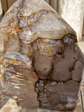 (+12 WEEKS!) Polished XL Tabular Cascading Smokey Window Quartz Crystal x 1 From Akansobe, Madagascar