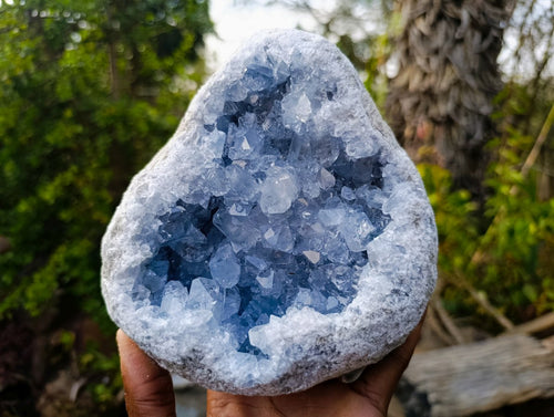 Natural Large Blue Celestite Geode Specimen x 1 From Sakoany, Madagascar - Toprock Gemstones and Minerals 