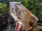 Polished Smokey Quartz Display Crystals x 2 From Madagascar