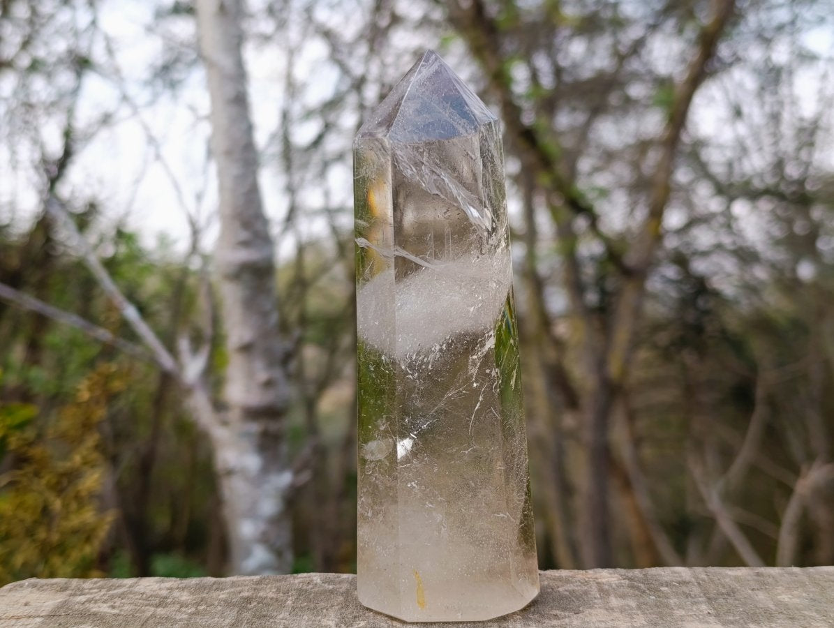 Polished Smokey Quartz Display Crystals x 2 From Madagascar