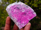 Natural Salrose Cobaltoan Dolomite Specimens x 6 From Kakanda, Congo