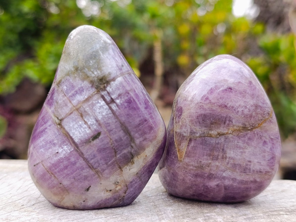Polished Rare Anhydrite Standing Display Pieces x 6 Tulear, Madagascar