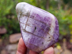 Polished Rare Anhydrite Standing Display Pieces x 6 Tulear, Madagascar