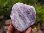 Polished Rare Anhydrite Standing Display Pieces x 6 Tulear, Madagascar