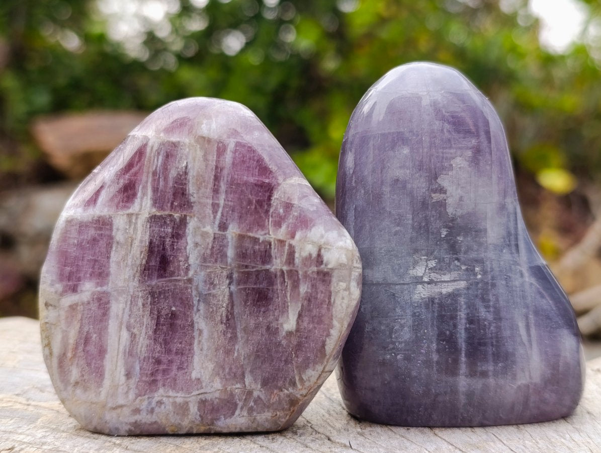 Polished Rare Anhydrite Standing Display Pieces x 6 Tulear, Madagascar