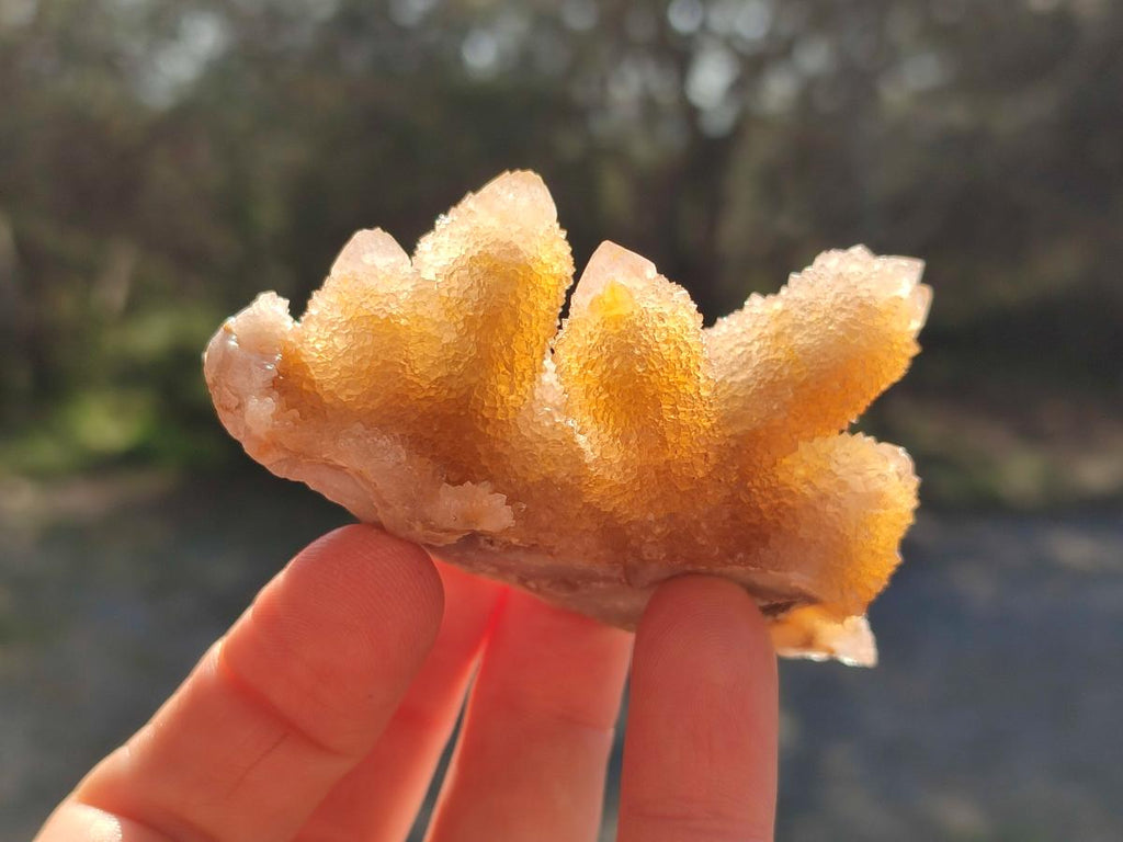 Natural Golden Hematoid and Limonite Spirit Quartz Clusters x 12 From Boekenhouthoek, South Africa - Toprock Gemstones and Minerals 