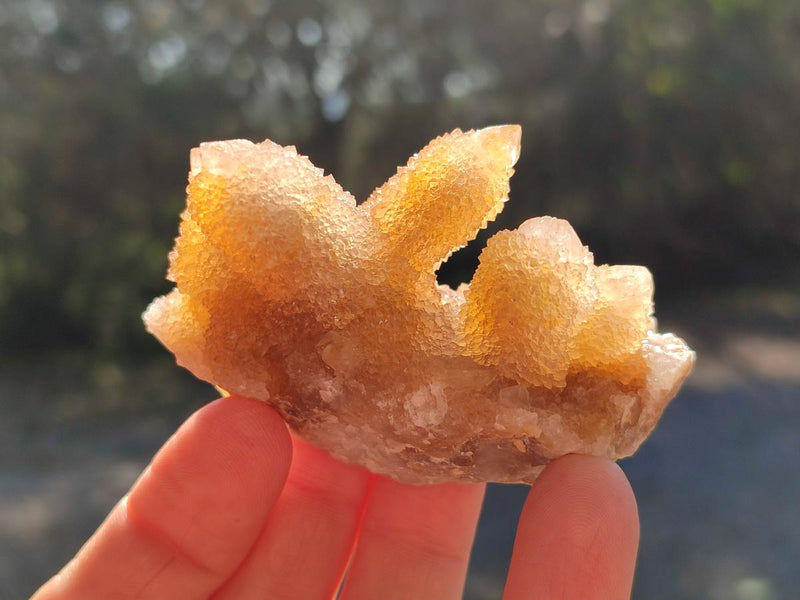 Natural Golden Hematoid and Limonite Spirit Quartz Clusters x 12 From Boekenhouthoek, South Africa - Toprock Gemstones and Minerals 