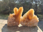 Natural Golden Hematoid and Limonite Spirit Quartz Clusters x 12 From Boekenhouthoek, South Africa - Toprock Gemstones and Minerals 