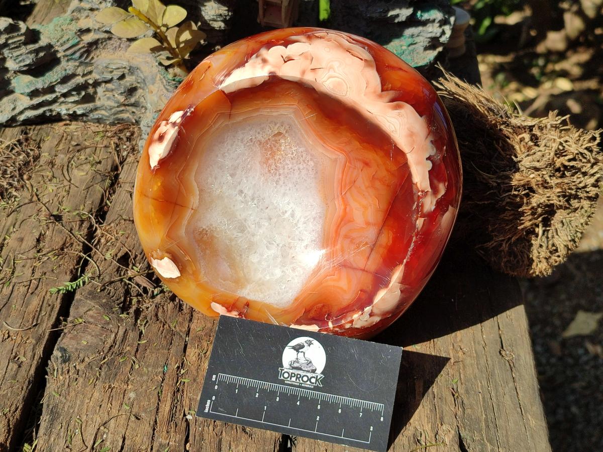 Polished Large Carnelian Agate Gemstone Bowl x 1 From Madagascar - Toprock Gemstones and Minerals 